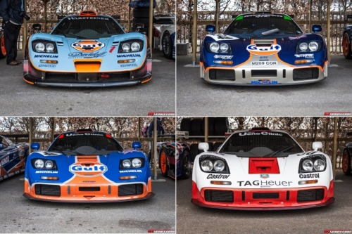 mclaren-soul:  Display of McLaren F1 GTRs at the 73MMSource: GT Spirit