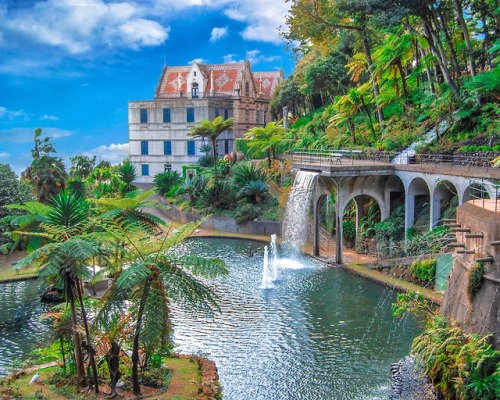 Madeira - Portugal (by annajewels) https://www.instagram.com/annajewels/