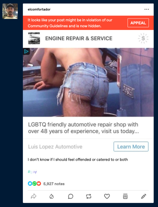 Tumblr media