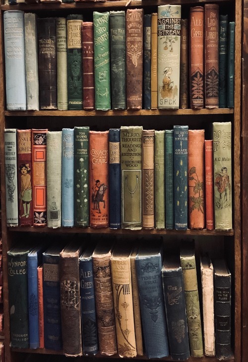 calellon: Old books in Michael Moon’s Bookshop, Whitehaven