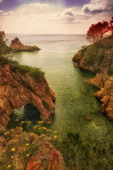 Mediterranean spring, Costa Brava / Spain (by Christian Saboya).