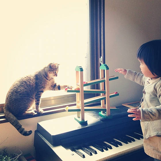 zambiunicorn:  sasaq:  Toco The Cat And His Human: Growing Up Together  I cried 