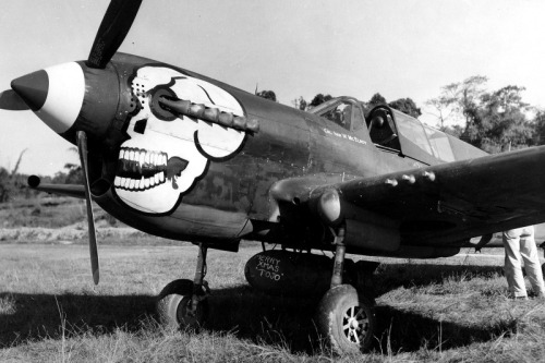 demons:  The P40 Warhawk of Col. Ivan McElroy of the 80th Fighter Squadron, the Burma Banshees
