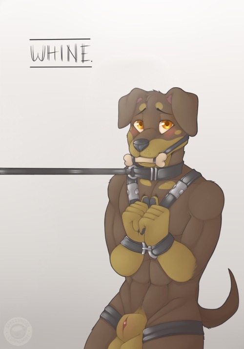 azure-n-saby: SpazzyHusky BDSM part two (canids from least liked to greatest liked but I love them all) 