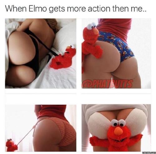 Porn photo dreammemesupreme:  I bet elmo can get a text