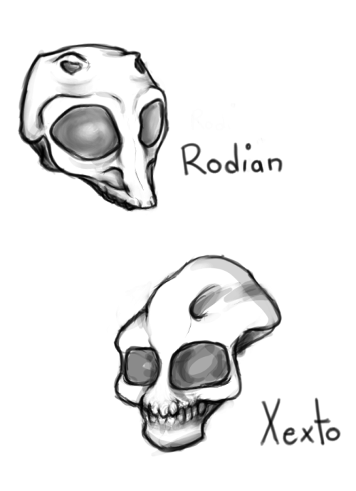 radicalrebelcat:radicalrebelcat:I saw this post by @moonstarturtle about Lasat skulls, and it got me