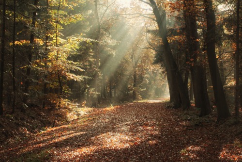 Autumn capitol of the world