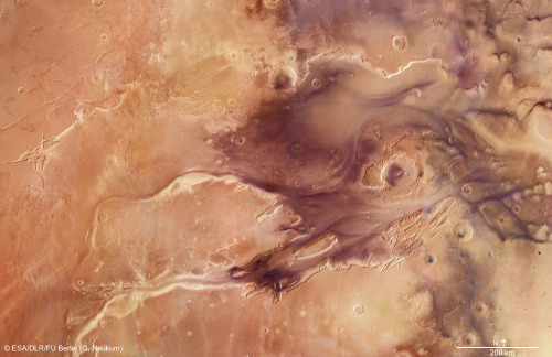 “ Kasei Vallis, an extensive channel system on Mars.
”