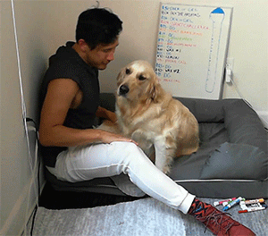 dogiplier:  SUCH A GOOD GIRL