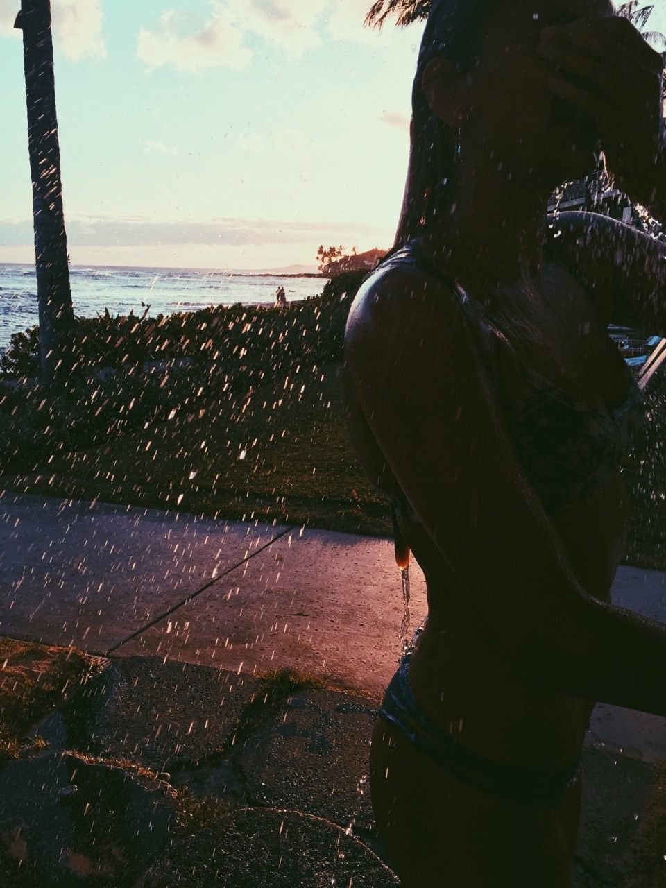 avaswagner:  Easy summer nights