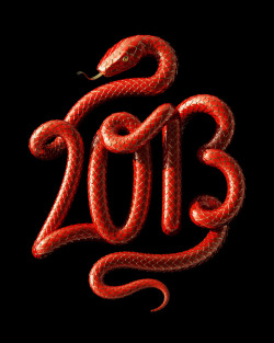nevver:  Welcome the Year of the Snake