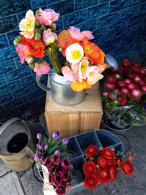 floralls:  (by .natasha.) 
