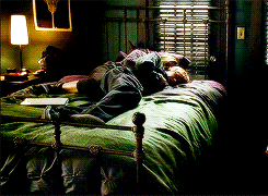 evan–langdon:  love birds <3 -L