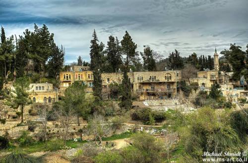 tvfreakd: Spring 2014, Israel. [1. Shokeda Forest | 2. Dead Sea | 3. Ha’Ella Valley | 4. Haifa