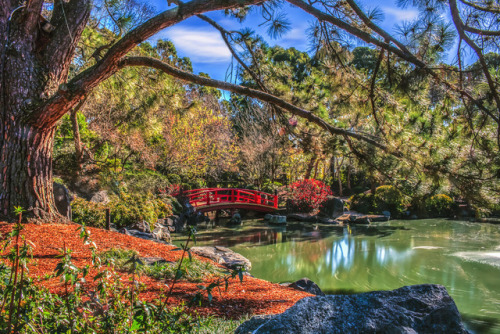 Japanese Garden by S♡C This is a winter garden from a month ago. It doesn&rsquo;t even look like