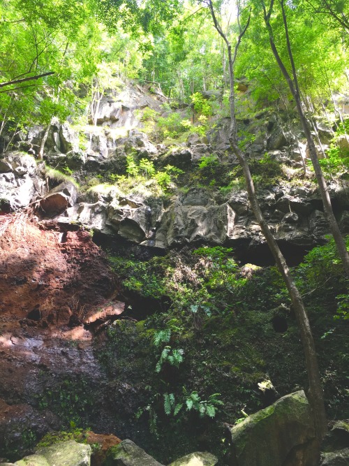 predictablytypical:Birthday hike full of gifts. Plant hearts and waterfall stream caves, magic.