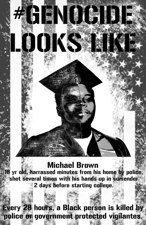 We know the story. Michael Brown was walking in the street of his neighborhood, almost home when he 