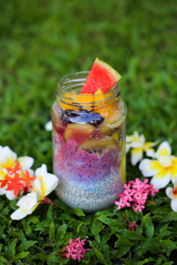 redefiningfood:  I love breakfast parfaits: Chia seed pudding parfait with Blueberry Strawberry Banana Smoothie, Kiwi, Blueberries, Mango and Watermelon  It began with one of my most beautiful breakfasts to date, the oatmeal parfait, and the obsession