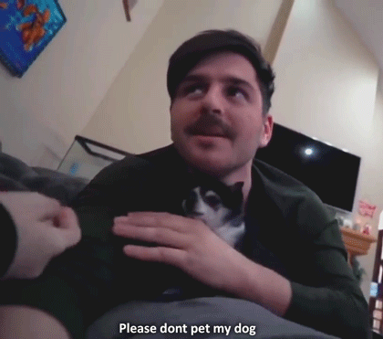 punk-n-politics: ashisintheskies:   kitten-the-anti:   kitten-the-anti:  no more