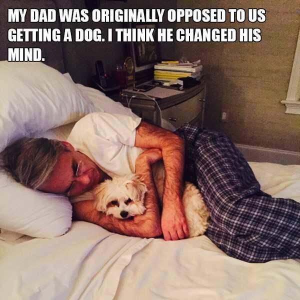 pr1nceshawn:It’s Impossible Not To Fall In Love With Dogs.