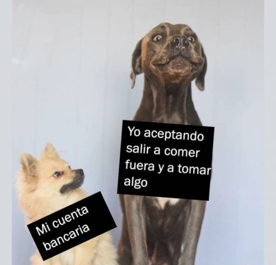 jaidefinichontv: