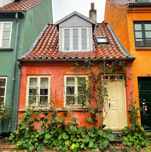 The cutest little house on Møllestein Sept 27, 2021 #aarhus #århus #denmark #traveltheworld #instatr