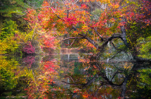 This Is The Closest I'll Ever Get To Creating A Painting. Absolutely Unbelievable Fall Color Reflections