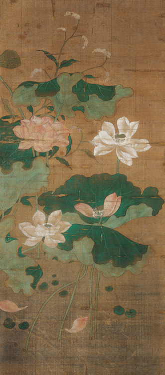 Pink and White Lotus, unknown Chinese artist, 14th century (Yuan Dynasty).  Now in the Kimbell 