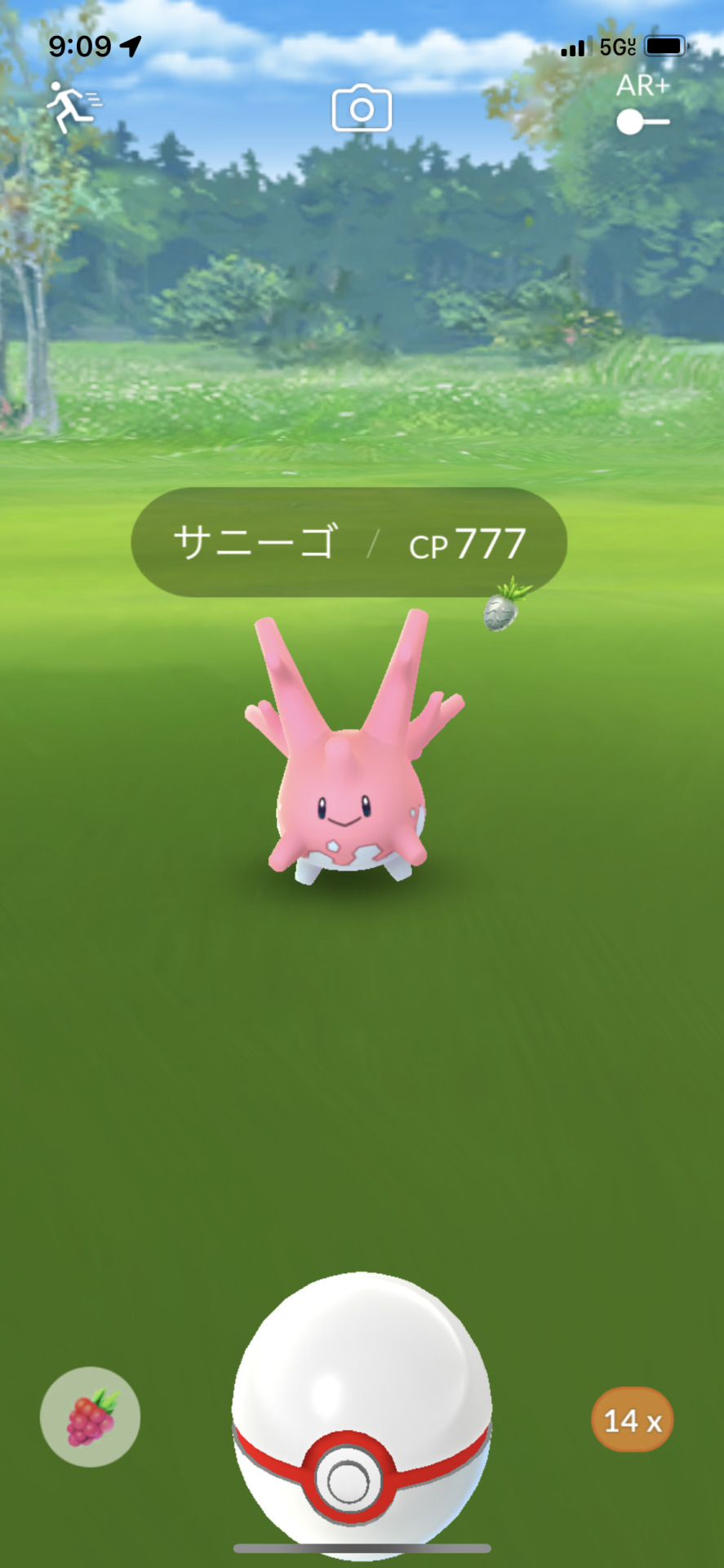 サニーゴ Explore Tumblr Posts And Blogs Tumgir