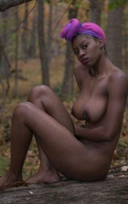 naughty-ebony:  Woodland creatures /