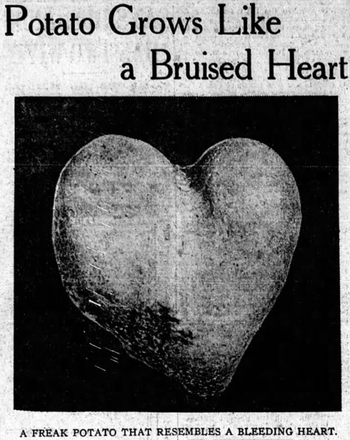 yesterdaysprint: Boston Post, Massachusetts, October 7, 1920 Even in the 1920s.