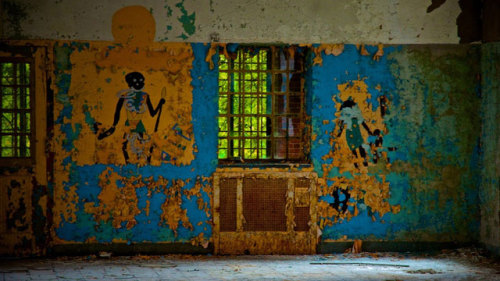 Sex Kings Park Asylum, New York pictures