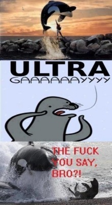 niknak79:  Don’t mess with Free Willy 