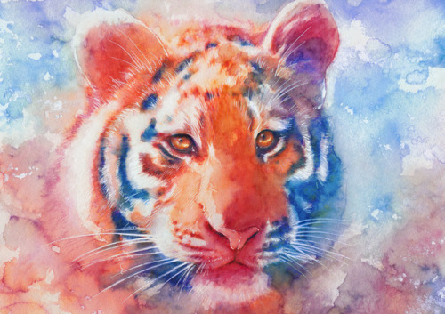 lohrien:  Illustrations by Aurora Wienhold 