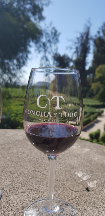 Concha y Toro, Chile