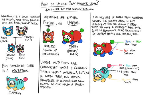 Infographic For How Inheritance Works For Unique Peepy Species With My Little Dudes. Made It Up As I