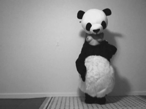 Never been one into interspecies erotica or furry life but this playful panda is making me reconside