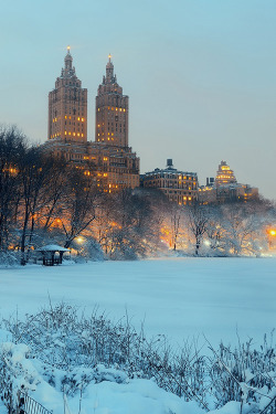 earthyday:  Central Park Winter  by Songquan