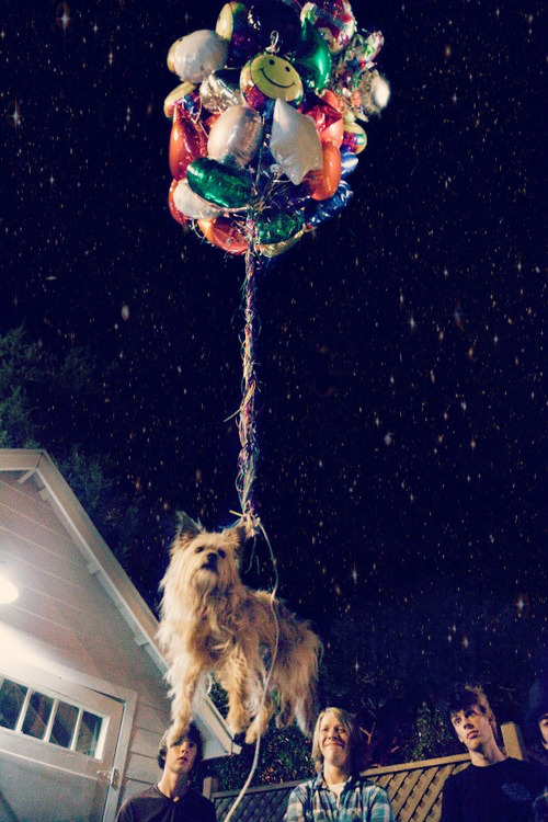 sandra16things:  <3 <3