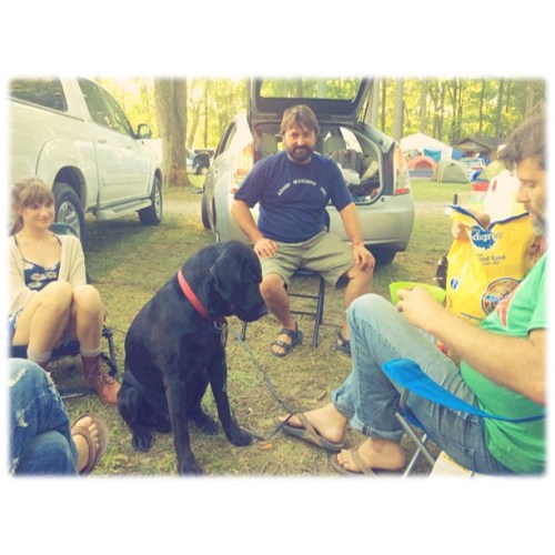 <p>Relaxing afternoons with big dogs and great #oldtime musicians at #clifftop this weekend. #jasonashby #rhysjones #giantlab  (at Clifftop Appalachian String Band Festival)</p>