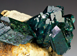 Underthescopemin:  Dioptase Outstanding Lustrous Deep Emerald Green Prismatic Crystals