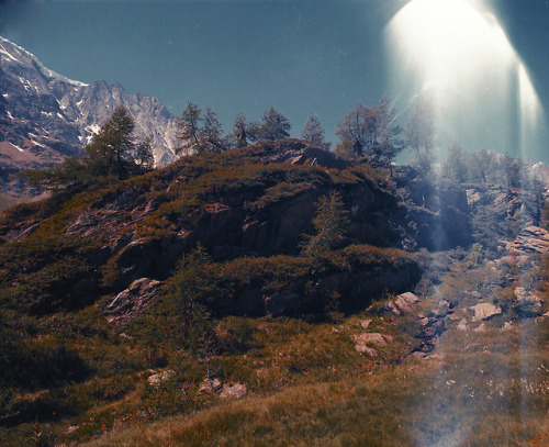 Valley of Lötschental“Guggialp”mamiya rb 76