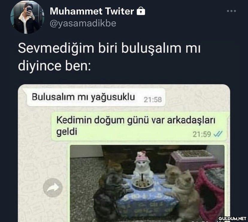 101 Muhammet Twiter...