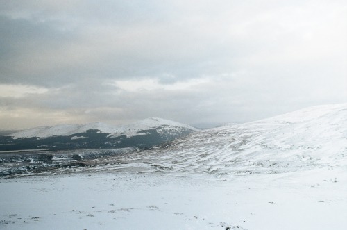 alifeingrain:  Cairngorms National Park - February 2022Pentax K1000 on Kodak Gold 200
