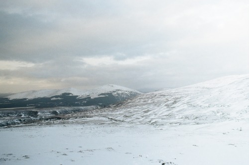 alifeingrain:  Cairngorms National Park -