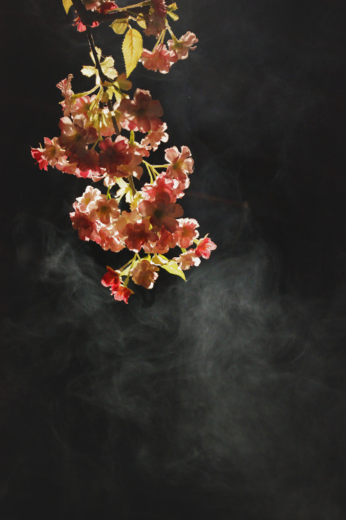 flowers in smoke