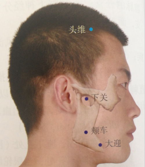 I really like the way these textbooks show points as they fit with musculature and bone, highlighted