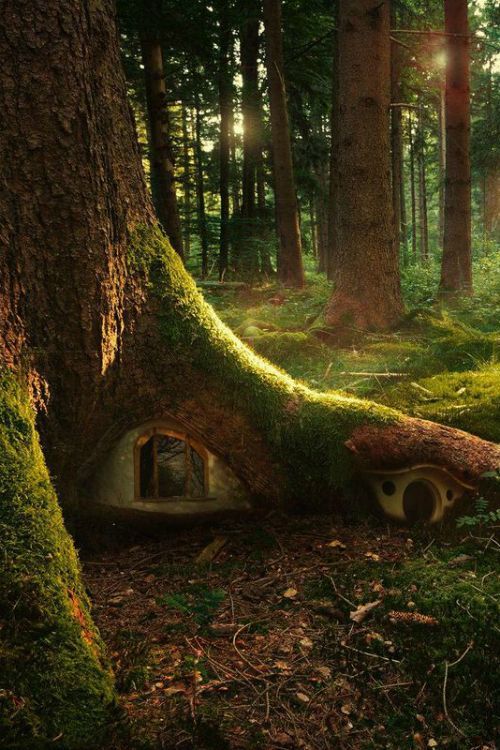 bestgardengadgets1:  Fairy Garden 