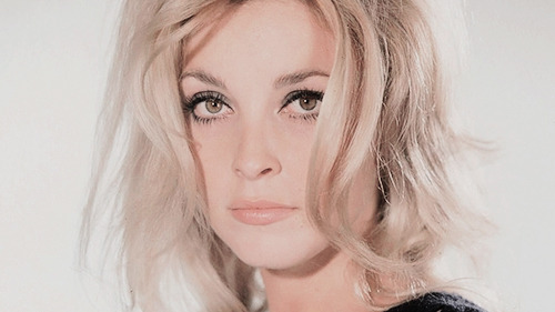 Sex  Sharon Tate photographed by Pierluigi Praturlon, pictures