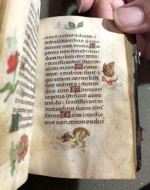 smithsonianlibraries: Caution: monsters in the margins! These little beasts lurk around the text of 